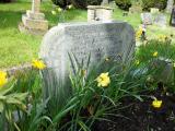 image of grave number 292612